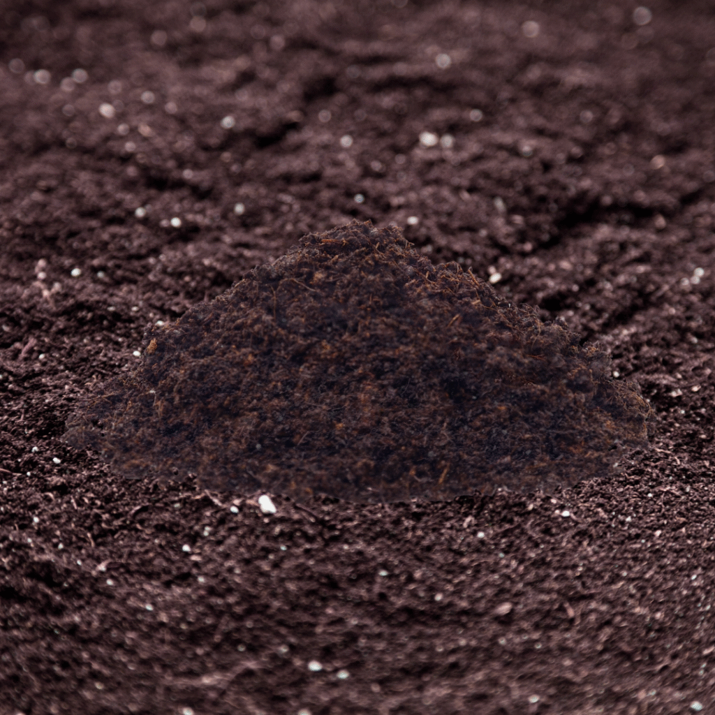 Organic Soil