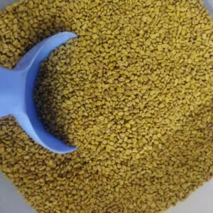 Sansu Spices Methi Danna( Fenugreek ) | Pure and Natural | 100% Chemical Free | Preservative Free