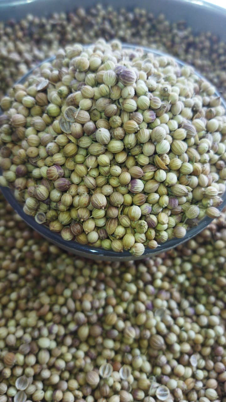 Sansu Spices Khadda Dhaniya( Coriander ) | Pure and Natural | 100% Chemical Free | Preservative Free - Image 2