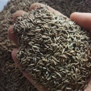 Sansu Spices Jeera(Cumin) | Pure and Natural | 100% Chemical Free | Preservative Free