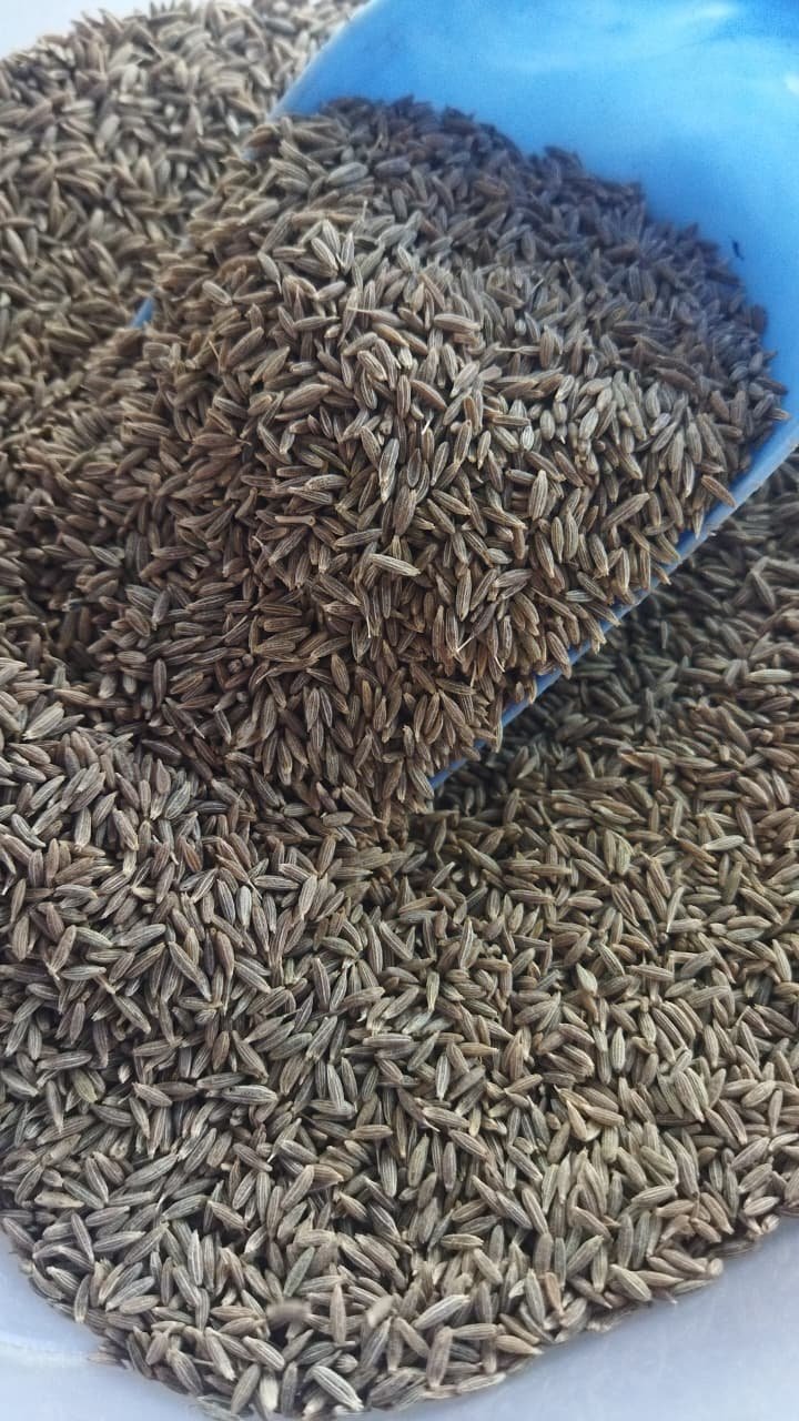 Sansu Spices Jeera(Cumin) | Pure and Natural | 100% Chemical Free | Preservative Free - Image 3