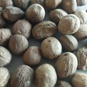 Sansu Spices Jaiphal (Nutmeg) | Pure and Natural | 100% Chemical Free | Preservative Free