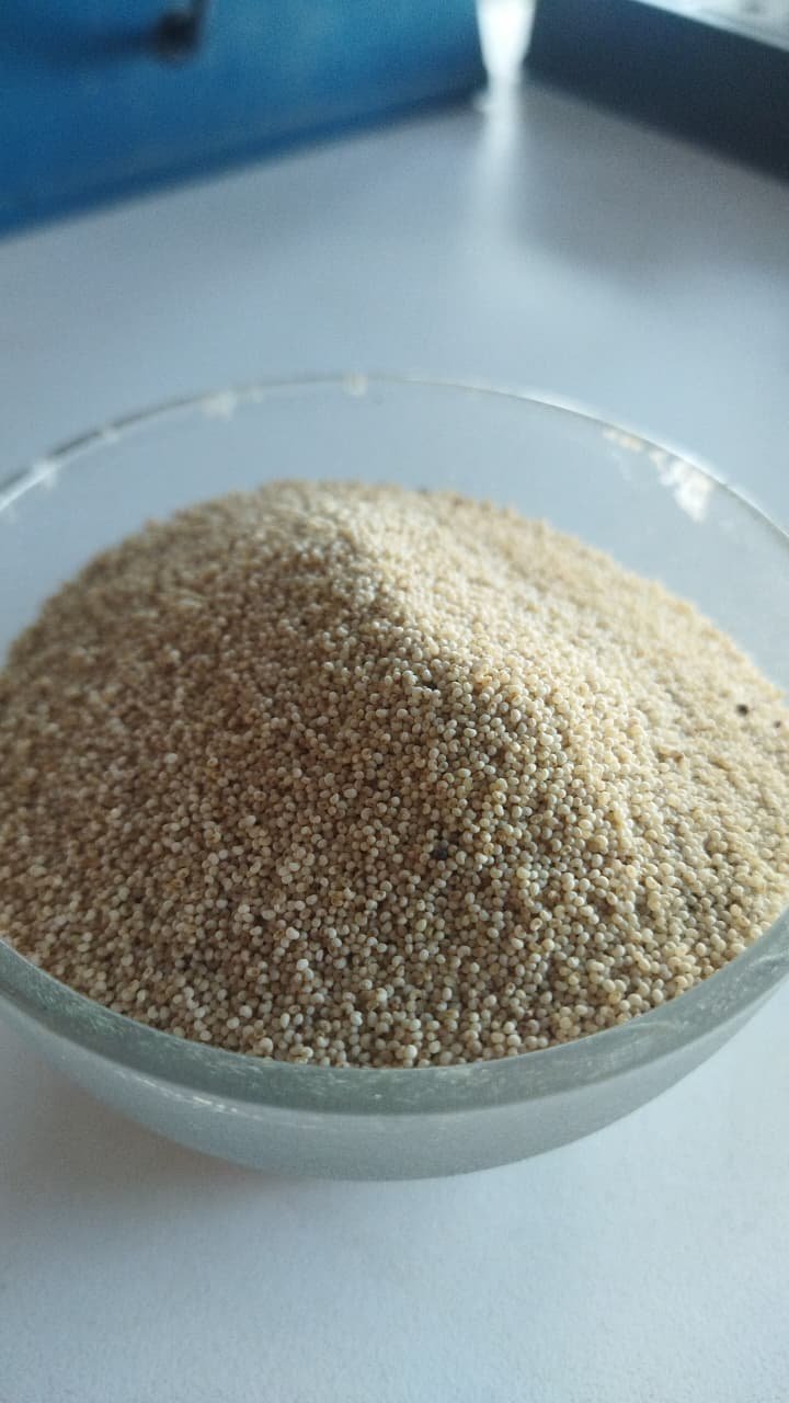 Sansu Spices Posta Danna (Poppy Seeds) | Pure and Natural | 100% Chemical Free | Preservative Free - Image 2