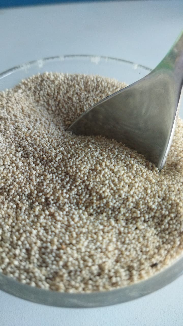 Sansu Spices Posta Danna (Poppy Seeds) | Pure and Natural | 100% Chemical Free | Preservative Free - Image 3