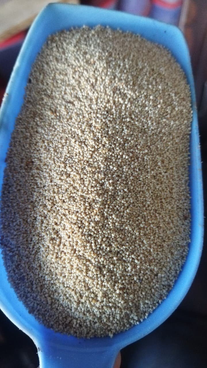 Sansu Spices Posta Danna (Poppy Seeds) | Pure and Natural | 100% Chemical Free | Preservative Free - Image 4