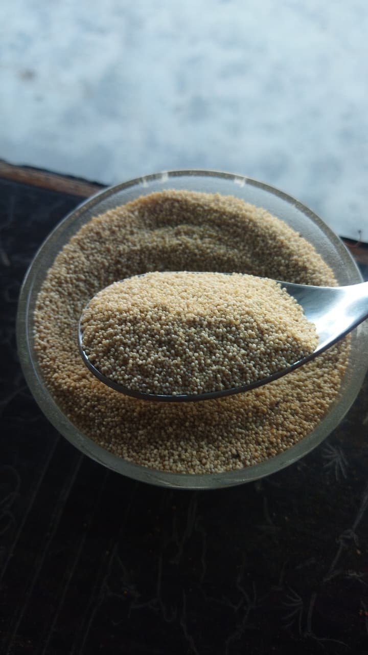 Sansu Spices Posta Danna (Poppy Seeds) | Pure and Natural | 100% Chemical Free | Preservative Free - Image 5