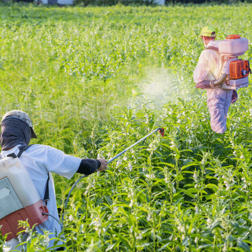 Pesticides